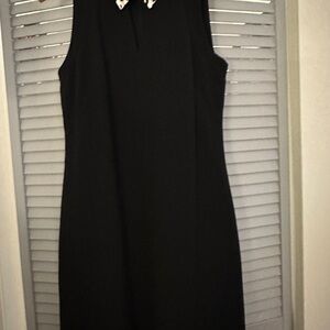 White House Black Market Black Dress with White Collar
